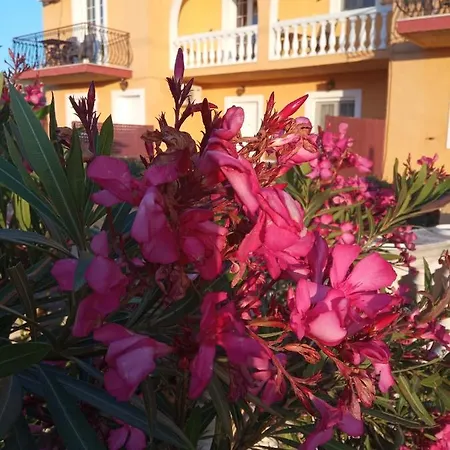 Ionian St&apts Bed & Breakfast *